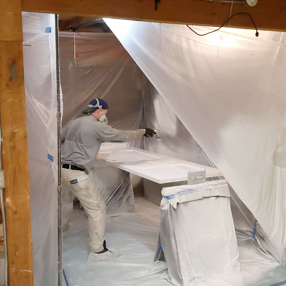 Residential and Commercial Painting - ZipWall Dust Barrier System